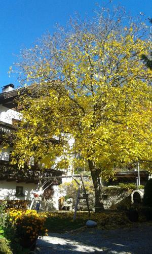 Apartamento Huberhof