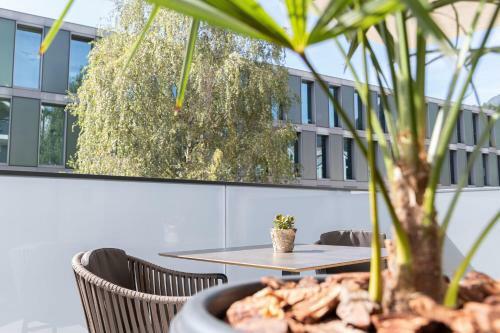 Apartamentos Nice Living