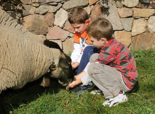 Bed & Breakfast Wegscheiderhof