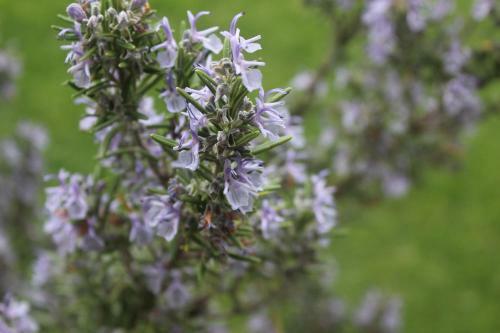 Apartamento Ban Hofa