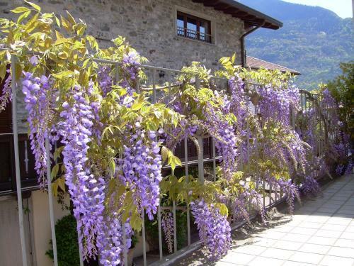 Apartamento Residenza Antica Corte Villa Picta