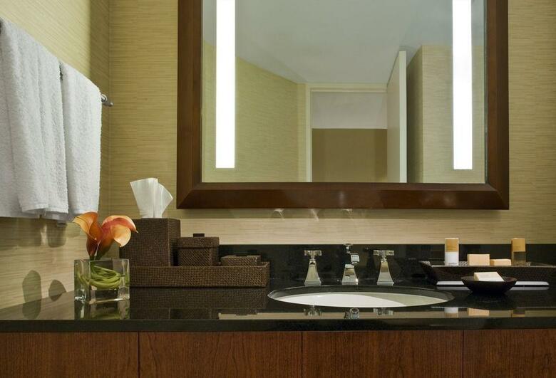Hotel Hyatt Regency Houston