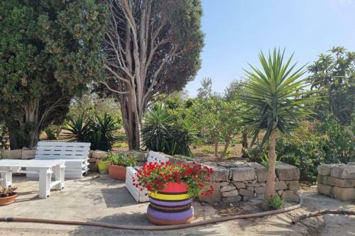 Il Casale Appartament&rooms