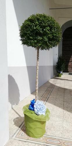 Hostal Residenza Santa Valeria 2
