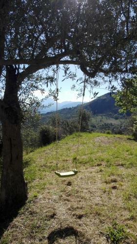 L'opuntia Sul Lago