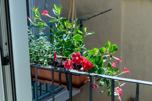 Bed & Breakfast Mandevilla Home