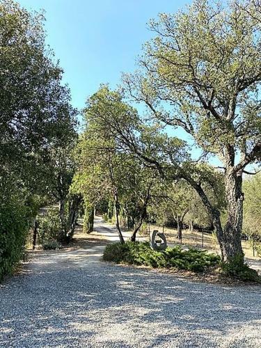 Neu - Il Falco - Rustico-villa Mit Privatem Pool