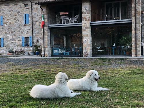 Bed & Breakfast La Locanda Nel Vento