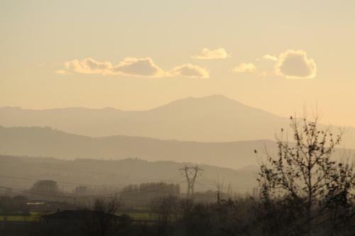 Bed & Breakfast La Torre Di Longara