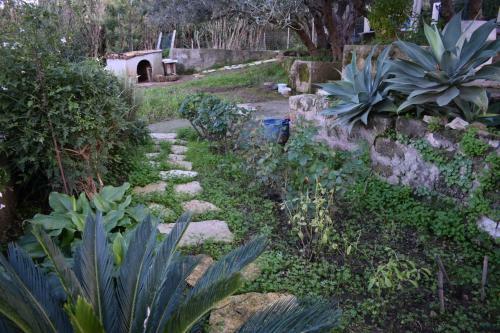 Apartamento La Casetta Nel Bosco
