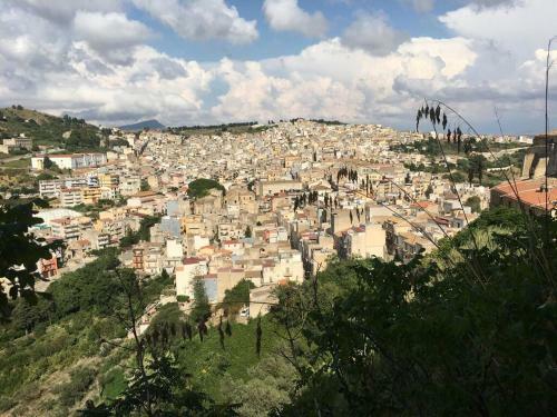 Apartamento La Domus Di Segesta