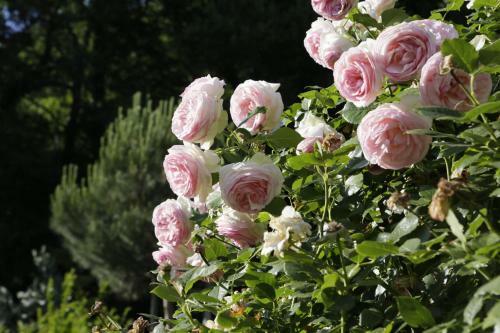 Bed & Breakfast Bnb Garni Kreithof