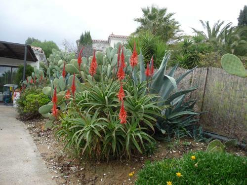 Casa Almog�a