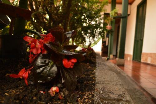 Hostal Sue Candelaria