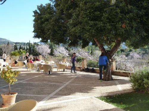 Aparthotel Can Estades