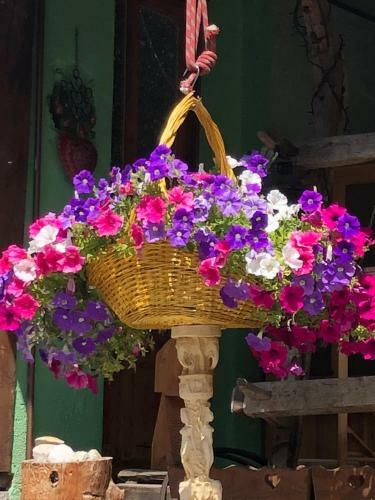 Apartamento Breuil-cervinia Cielo Alto