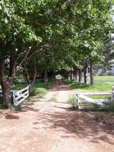 Agroturismo La Casina Rosa