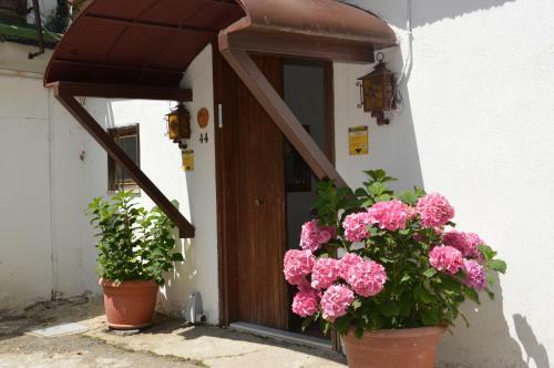 Lodge La Casa Nel Bosco