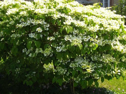 Bed & Breakfast S�r�nite Normande