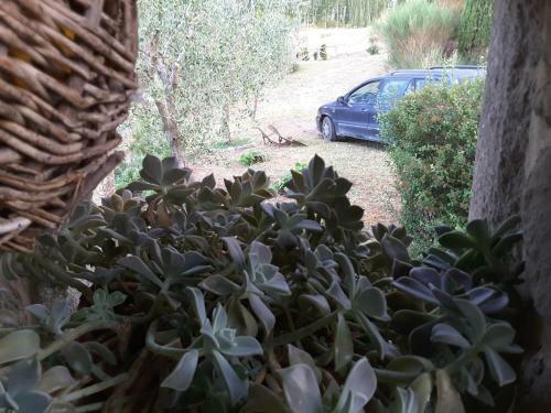Agroturismo Poggio Bicchieri