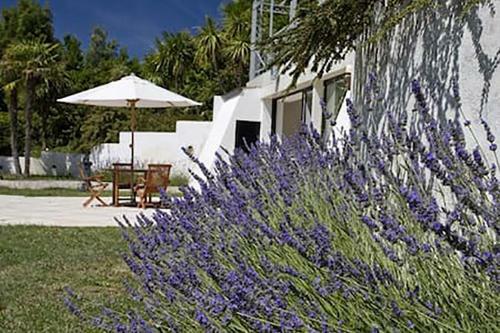 Villa Near Roma