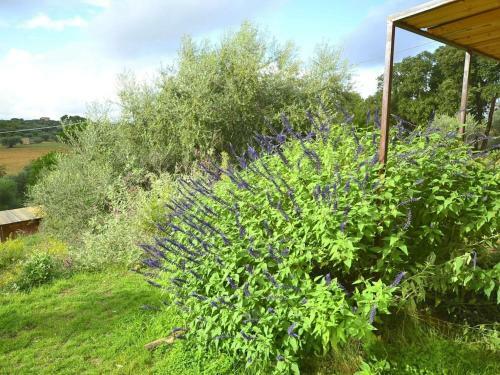 Holiday Home In Caltagirone With A Private Swimming Pool