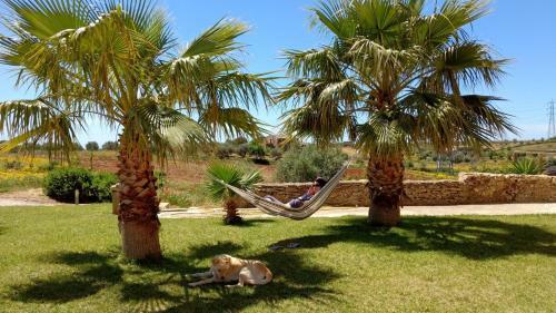 Bed & Breakfast Nepitella