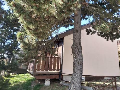 Chalet De L Ours