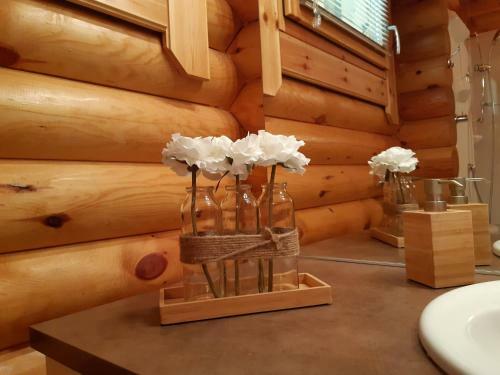 Chalet Scandinave Alaskan Class� 4 Etoiles