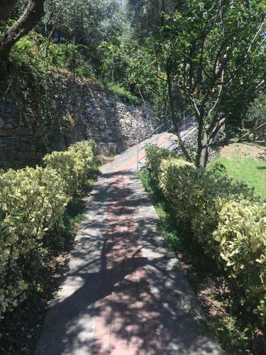 Apartamento Villa Olivari - Apt La Lavanda