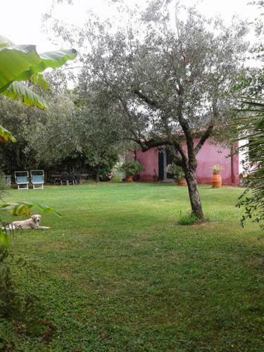 Villa Nobiliare Per 15 Persone