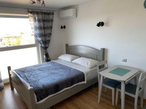 Apartamentos Studio D