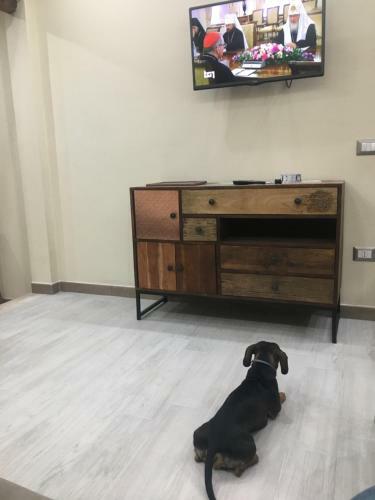 Flamingo Luxury Apartment