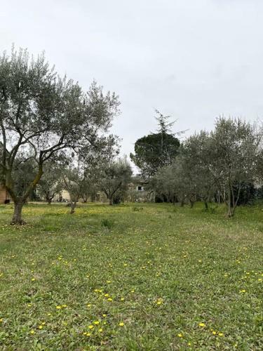 Bed & Breakfast Le Nomade En Provence