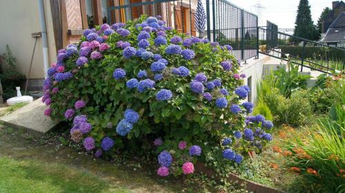 Bed & Breakfast Chambres D'h�tes de Boudeville