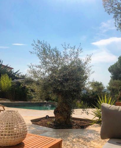 Homestay Bormes