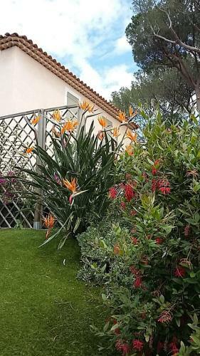 Les Bastides Du Haut Para