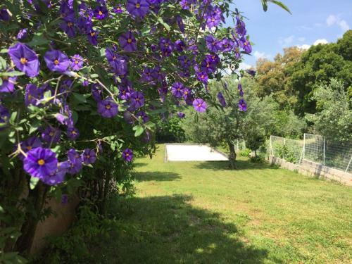 Apartamento Oustaou Di Ercole