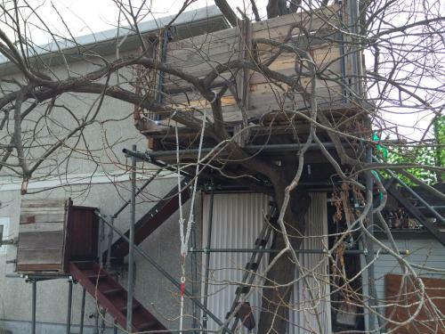Hostal Tree House & Open Air Bath