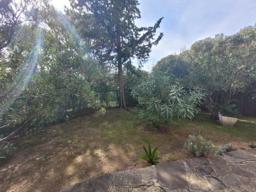 Apartamento Le Palmier - Saint Rapha�l - Route de La Corniche
