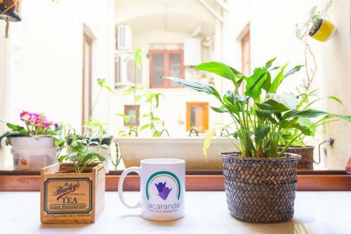 Bed & Breakfast Jacaranda