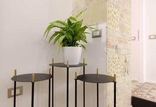 Hostal Orma Design Rooms - Historic Centre
