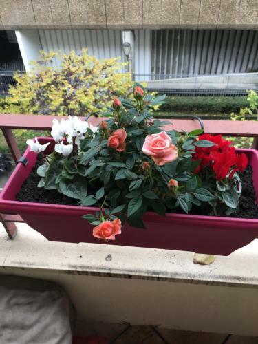 Apartamento Cosy Appart Hotel Boulogne -paris