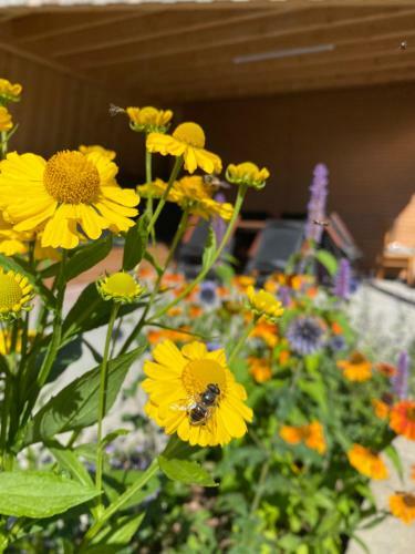 Apartamento Ferienwohnung Zollhaus