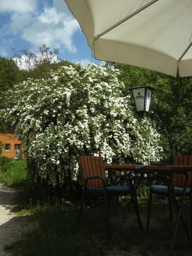 Hostal Hotel Gr�nwald