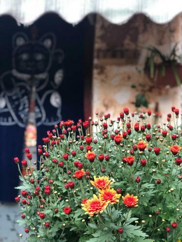 Posada Pacific Sunrise Lijiang Inn