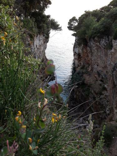 Apartamentos Adria Vista Mare