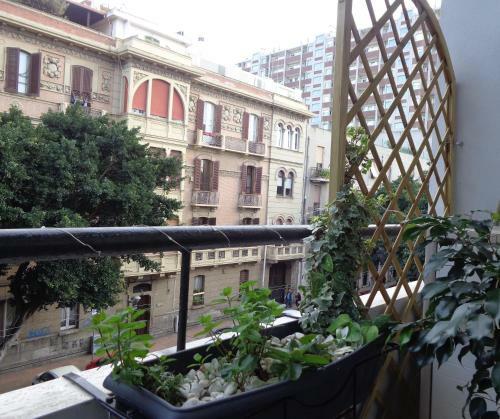 Hostal Chloe's Rooms