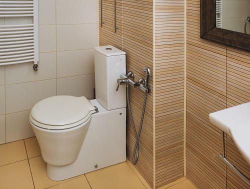 Apartment Lux Center