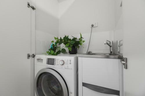 Sandy Hill Apartments By Ready Set Host